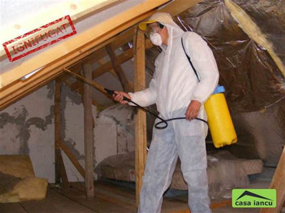 Servicii de ignifugare lemn